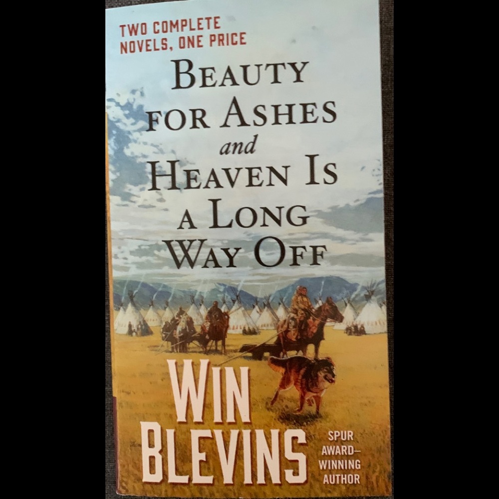 Book Two Novels in one BEAUTY FOR ASHES